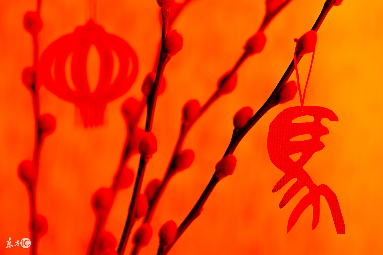 生肖运势命理学解释大全,怎么通过八字看生肖每日运势