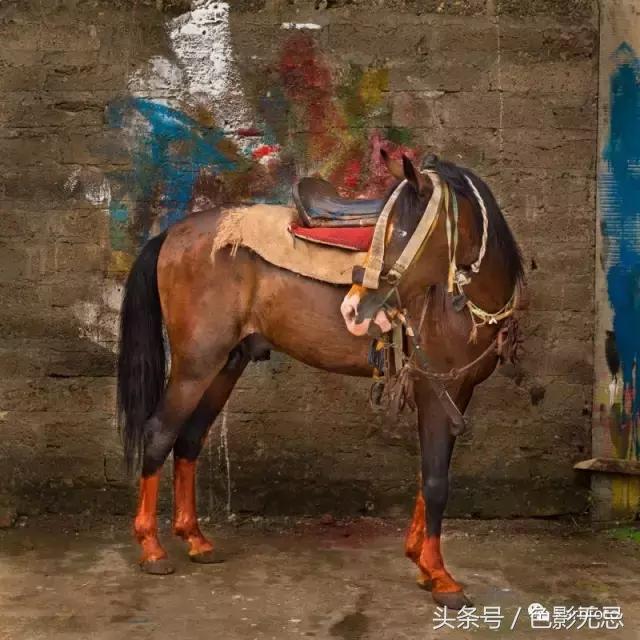 众望所归夺冠视频,众望所归的冠军视频