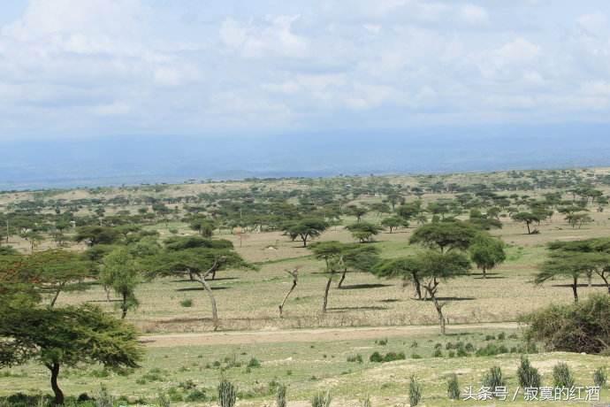 非洲国家为何那么落后？懒只是其中一个原因