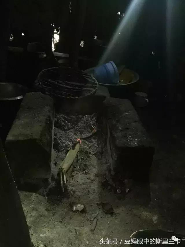 风动？树动？心动！致你，Kenya