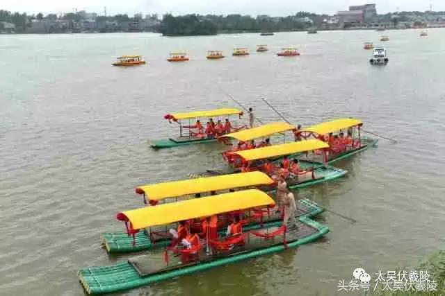 淮阳龙湖风景区荷花几月盛开,龙湖赏荷旅游月启幕