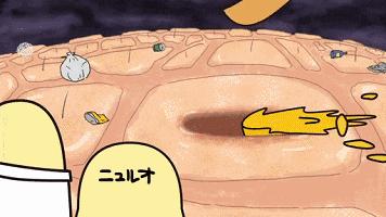 鼻子毛孔粗大有黑头怎么修复改善,女生毛孔粗大有黑头怎么改善医美