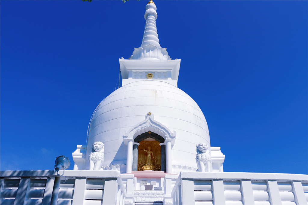 丽星邮轮8天7晚自由行攻略,丽星邮轮双子星号日本攻略