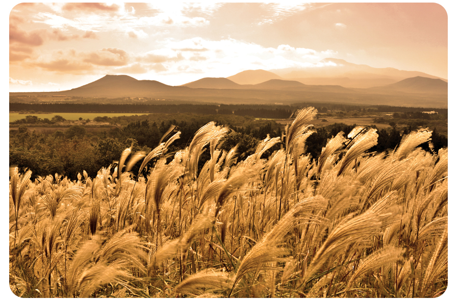 悦诗风吟唇膏推荐,悦诗风吟秋季唇膏