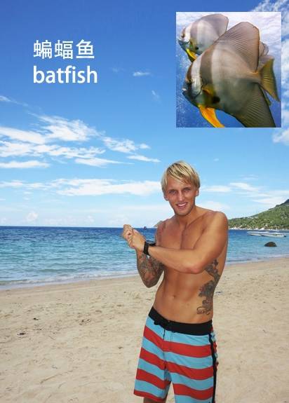 各种鱼的手势,海鱼表示动作词语