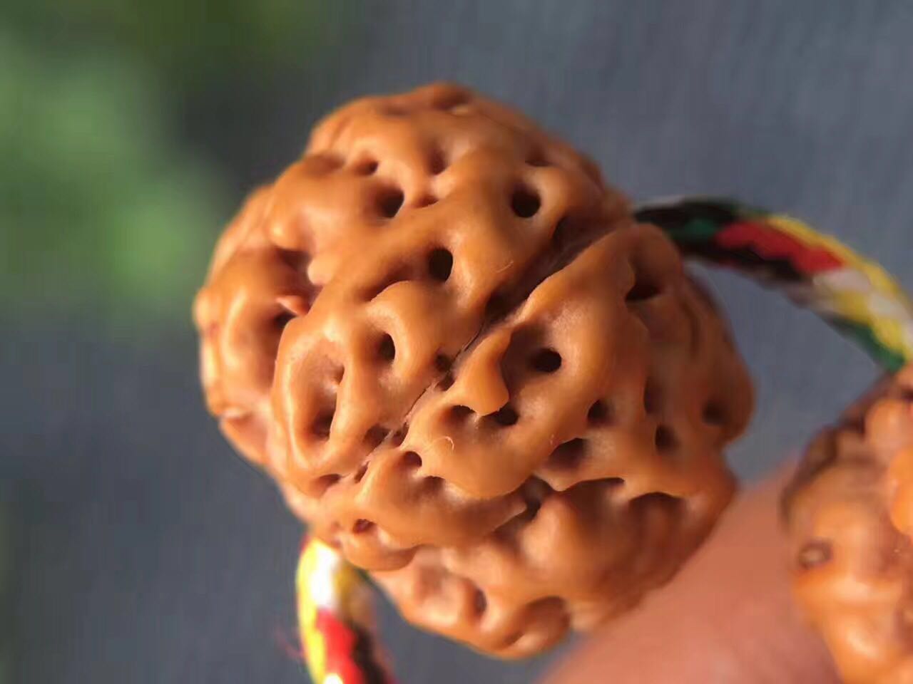 史上最全的小金刚菩提子介绍,再也不用担心被忽悠了!