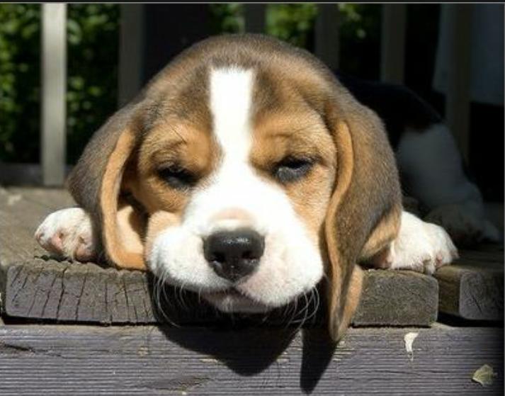 在学校怎么提高桃花运,哪些首饰提高桃花运