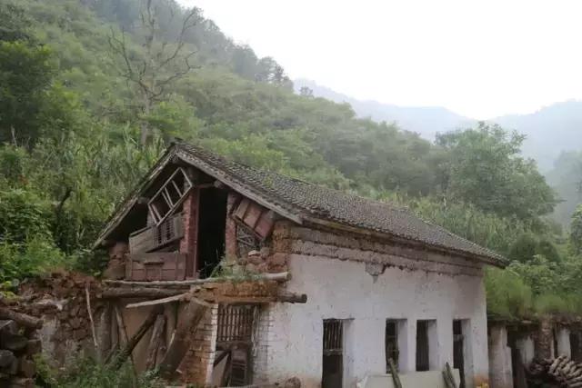山西历山舜王坪大草原攻略,看云海高山草甸的地方