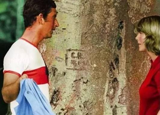 戴安娜王妃逝世20周年,戴安娜王妃死因大揭秘