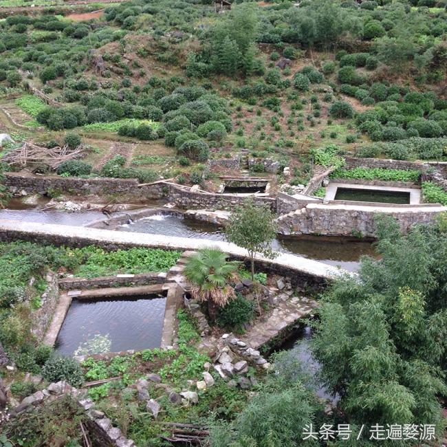 婺源第一名,婺源茶叶第一名