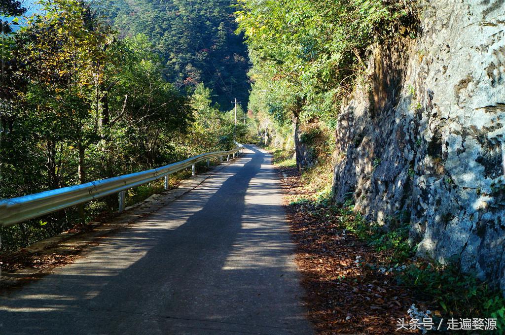 婺源第一名,婺源茶叶第一名