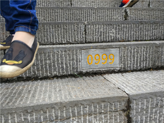 近期神农架自驾游攻略,2020年6月神农架大九湖自驾游攻略