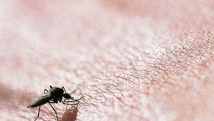 皮肤长小红痣不痛不痒是什么原因,身上长了好多小红痣是什么症状