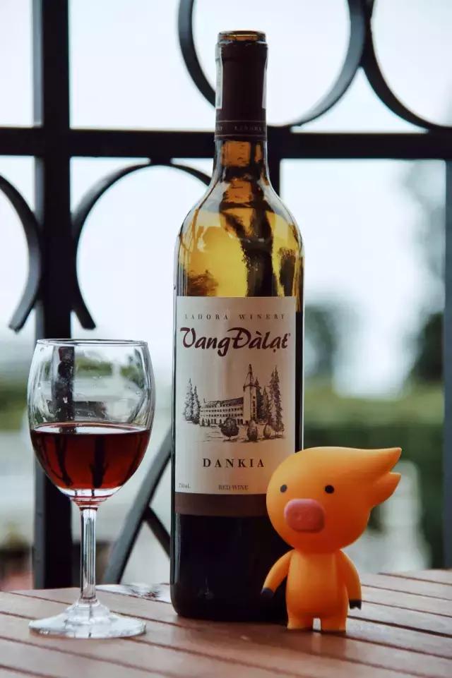 越南岘港5天自由行,越南岘港一天游出海