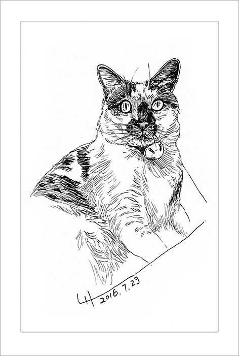 钢笔画动物昆虫,钢笔画家禽速写