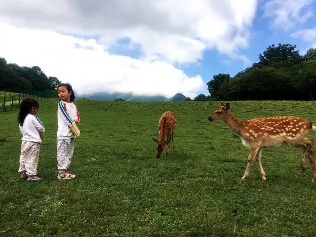 北纬30°神秘之境,在高山草甸、追逐鹿群,这里美的像天堂!