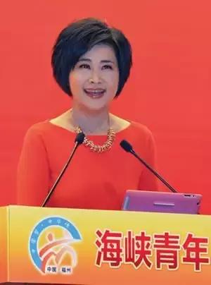 往届回顾丨“中国梦·中华情”，2013年首届海峡青年节精彩瞬间