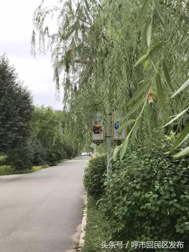 呼市新钢公园效果图,新钢街道公园