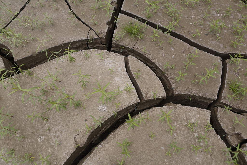 大武汉系列之武汉冶炼厂,大武汉系列之武汉印染厂