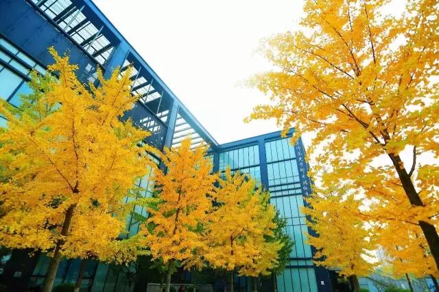 北师大未来发展情况,北师大最近大事