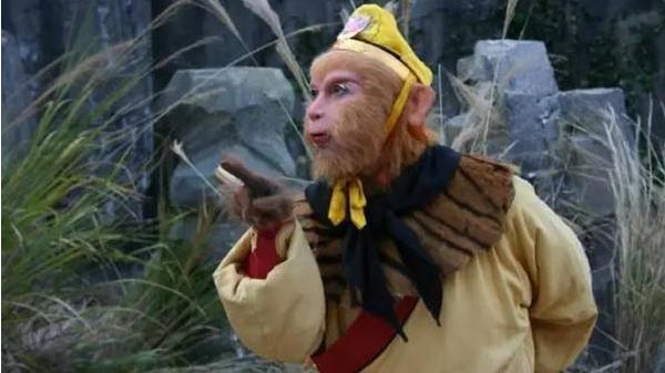 92年属猴男和92年属猴女婚配如何,属猴的生肖婚配表大全