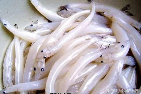 到吉林玩买啥、吃啥？再也不用刘烨代购吉林土特产了！