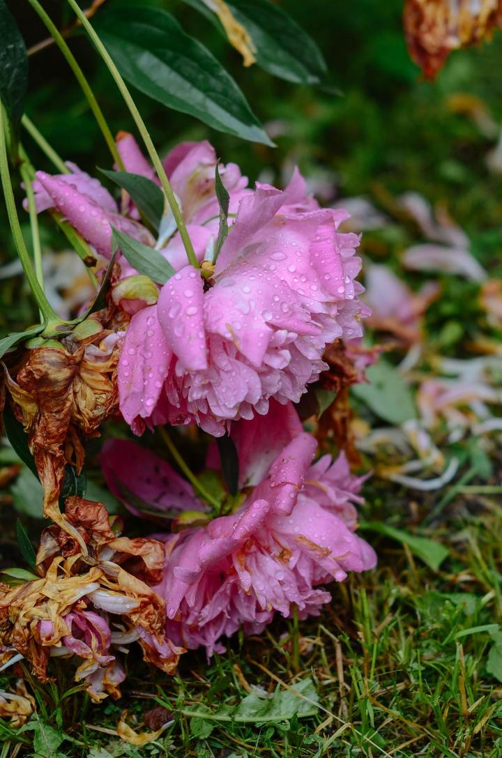 感受战斗民族日常,感受战斗民族的热情