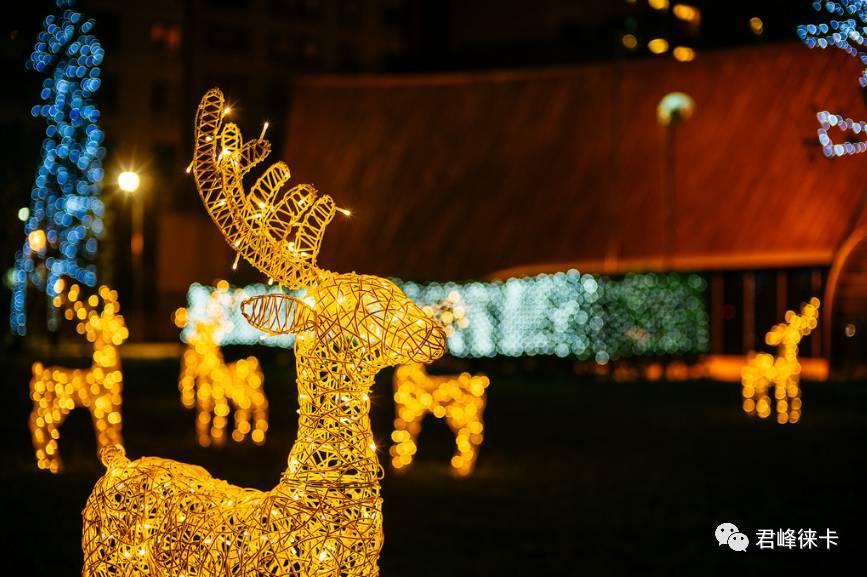 论情怀，他排第二，没人敢称第一——浅谈LeicaM-D