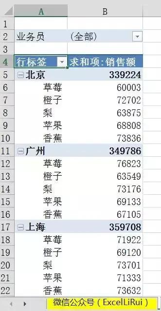 EXCEL2016数据透视表经典布局,excel技巧数据透视表教程