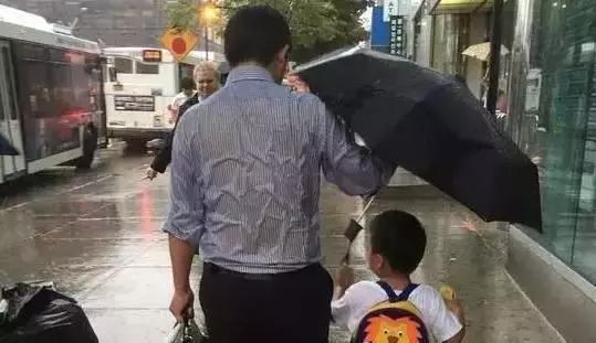 花如此多娇,花都如此多娇全文免费阅读