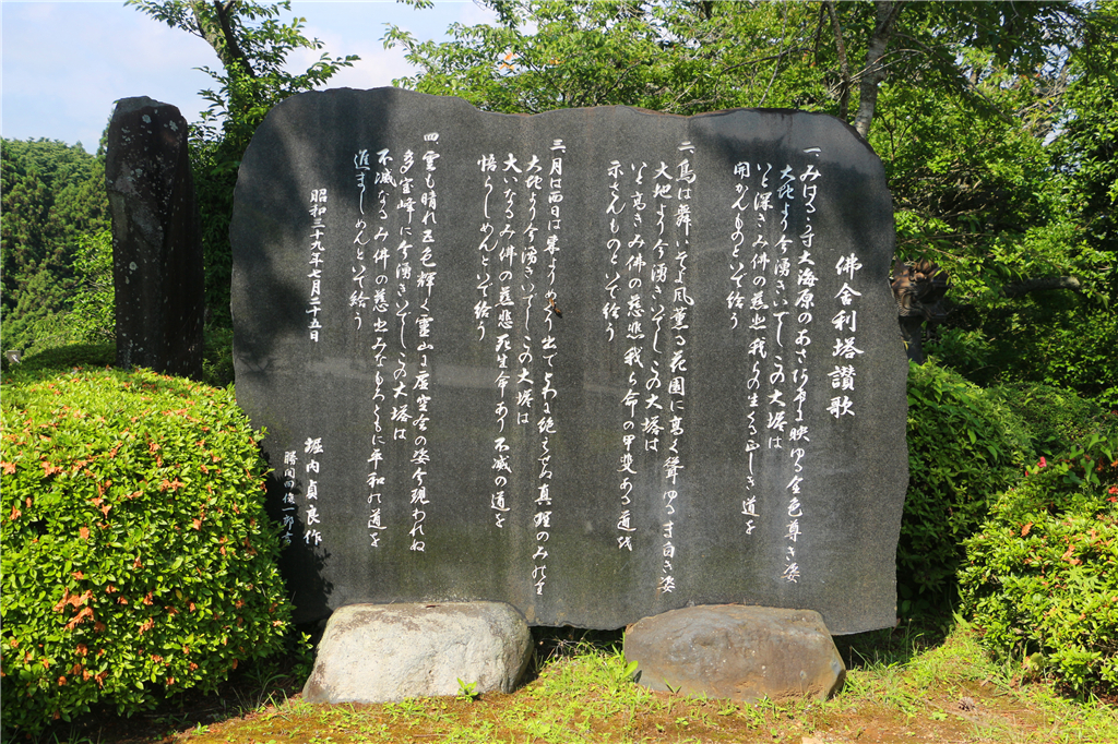 丽星邮轮8天7晚自由行攻略,丽星邮轮双子星号日本攻略