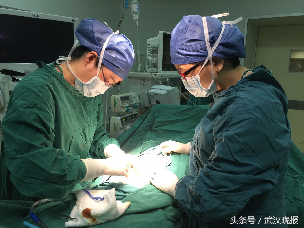 绝经了子宫肌瘤会不会贫血,长了子宫肌瘤才发现怀孕了怎么办