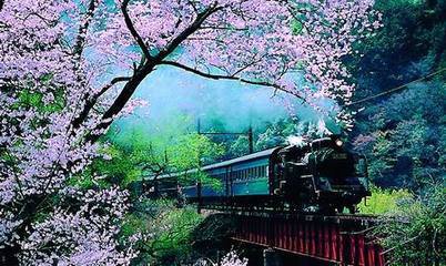 微小说——总有那么一个人，给了你一包*霜砒**，你也把它当蜜糖