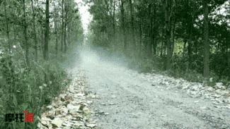 新款铃木dl250深度测评,深度测评豪爵铃木dl250