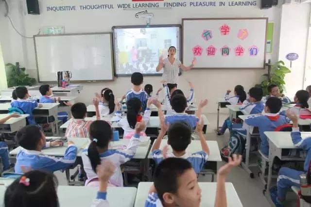 深圳中英文小学是双语吗,深圳5年级英语知识点梳理