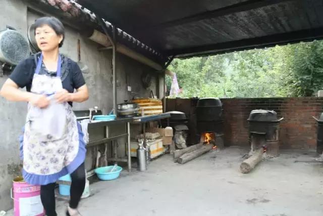 山西历山舜王坪大草原攻略,看云海高山草甸的地方