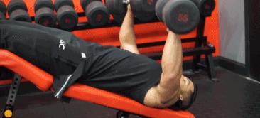 胸肌各个部位哑铃训练方法,最好的哑铃胸肌训练动作