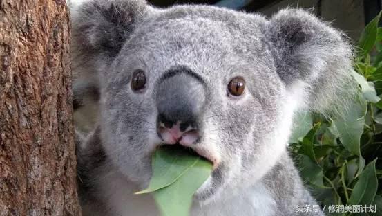 妇科知识宫颈糜烂是怎么引起的,关于妇科宫颈方面的知识