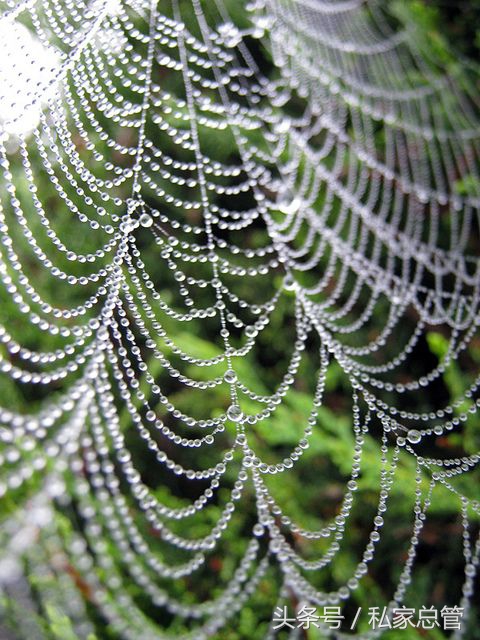 爱一个人陷于才华忠于人品,爱一个人始于颜值敬于爱情