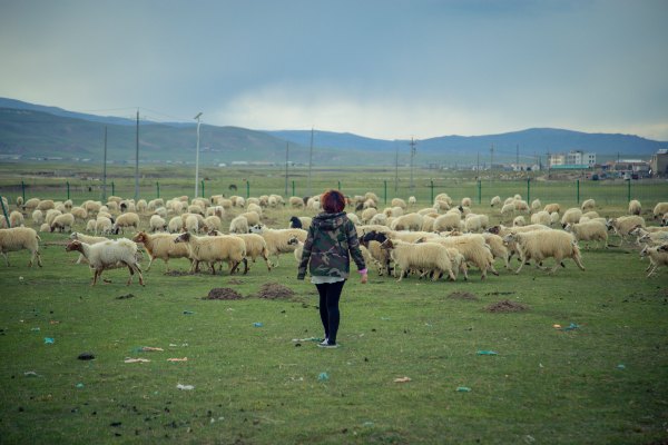 青海西北大环线旅游无人区在哪里,青海大环线高原风景