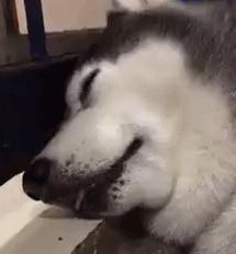 夕阳下的奔跑是我逝去的青春出处,我想起那天夕阳下的奔跑出自哪里