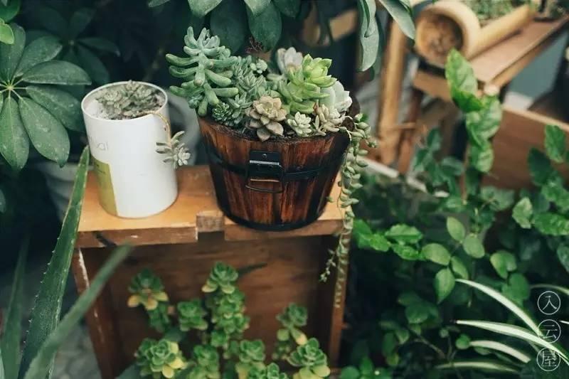 90后帅哥花3000元爆改出租屋后，又买了个破院子