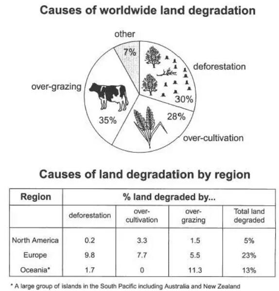 雅思干货知识分享,干货雅思高频词汇prospect