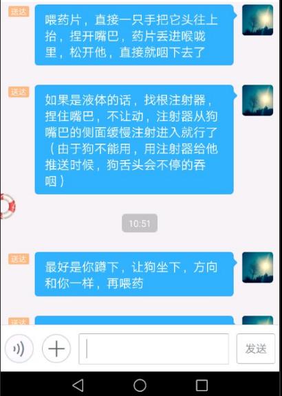 拉布拉多细小治疗成功率,拉布拉多治疗细小一天到七天变化