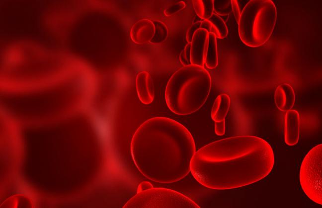 仙鹤草对血小板减少有效果吗,仙鹤草治血小板吗