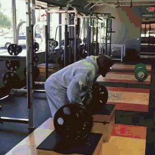 NFL训练分析之詹姆斯哈里森——上肢动作篇大汇总