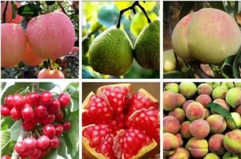 烟台魅力城市的魅力,烟台值得去和不值得去