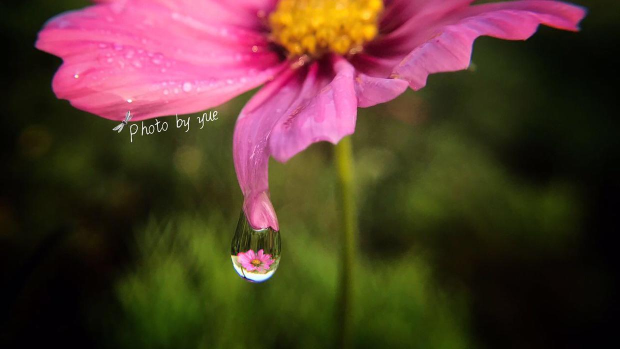 怎么给照片加印章水印,怎么在图片上加印章效果水印