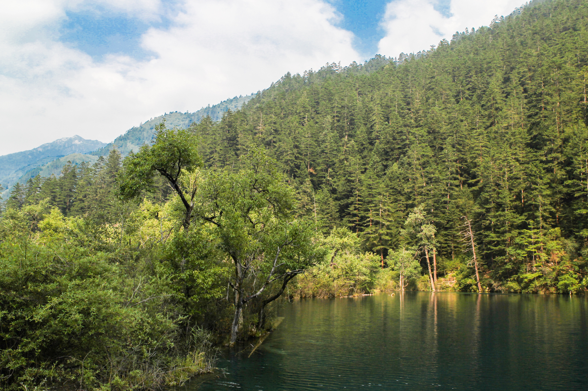 地震前的九寨沟美景,航拍地震前九寨沟所有景点