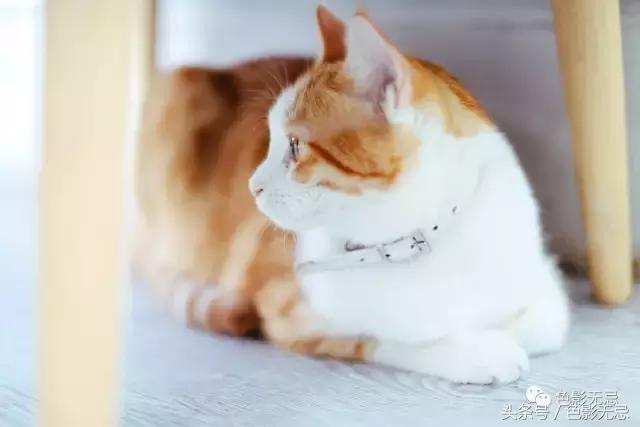 eos6d2照片不够清晰,eos6d2配什么镜头